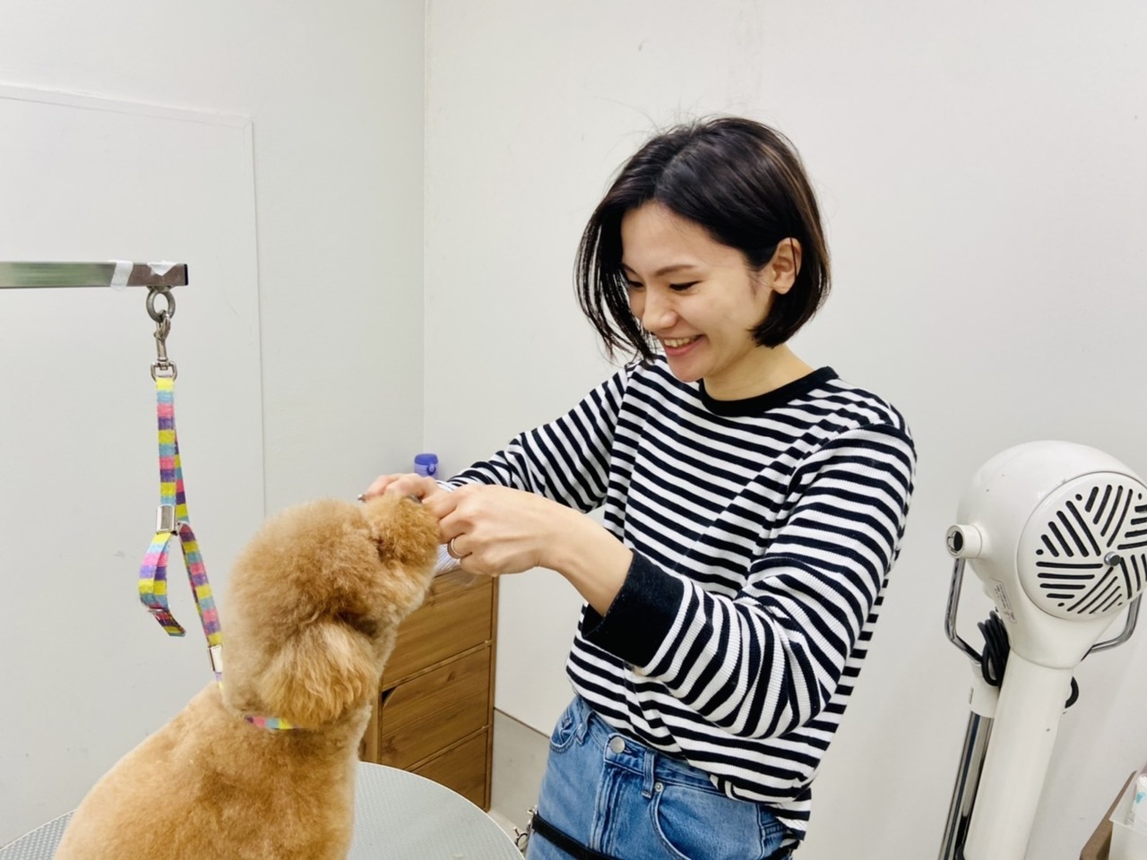 東武練馬の犬猫専門動物病院の白石