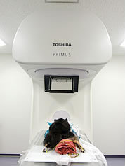 大学病院での放射線治療風景