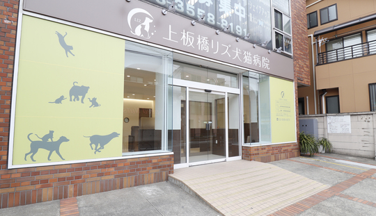 院内のご案内 上板橋リズ犬猫病院 板橋区常盤台 ときわ台 の夜間救急対応動物病院